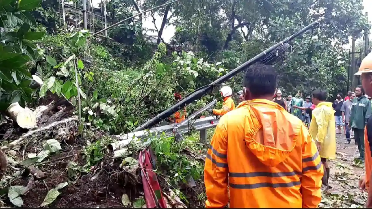 Tanah Longsor Tutup Sebagian Badan Jalan Utama di Tabanan, Rusak Tiang Telepon