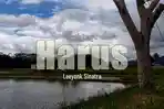Lirik-Lagu-Harus-Leeyonk-Sinatra.jpg