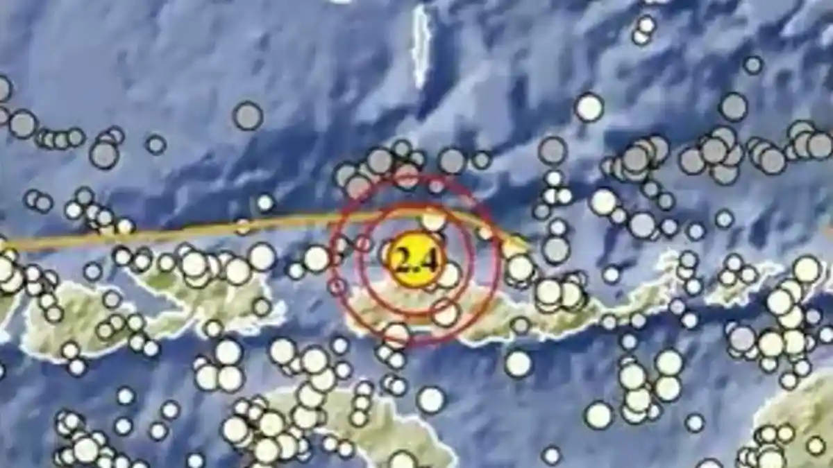 Gempa Terkini di NTT Sore Ini Sabtu 11 April 2026, Berikut Info BMKG