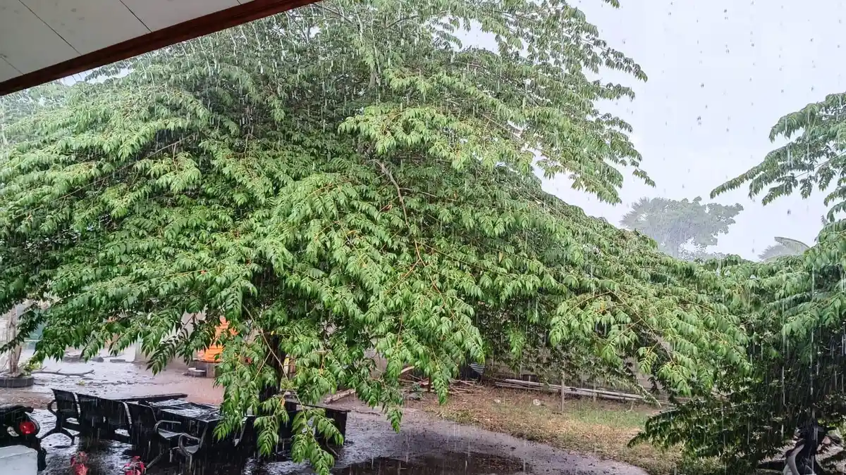 Prakiraan Cuaca Flores Hari Ini Sabtu 16 Maret 2024, Sebagian Wilayah Hujan