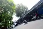 Pasar Ikan Hias Kartini Akan Direlokasi