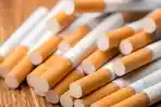 41122_Rokok.jpg