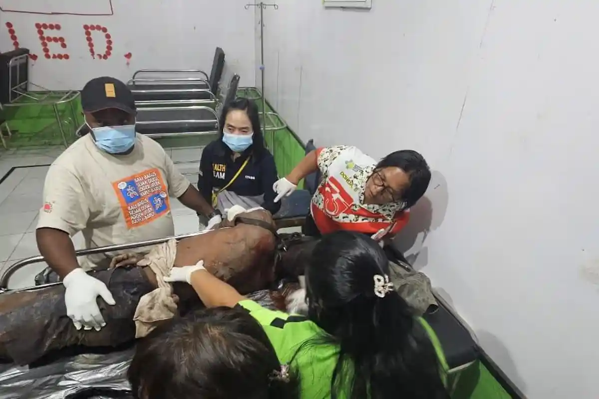 Satu Anggota OPM Tewas di Intan Jaya, Aparat Sikat Joshua Maiseni Menggunakan Drone Granat