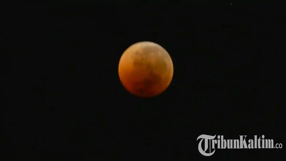 Hari Ini Ada Gerhana Bulan Total, Catat Waktu dan Cara Melihatnya di Indonesia