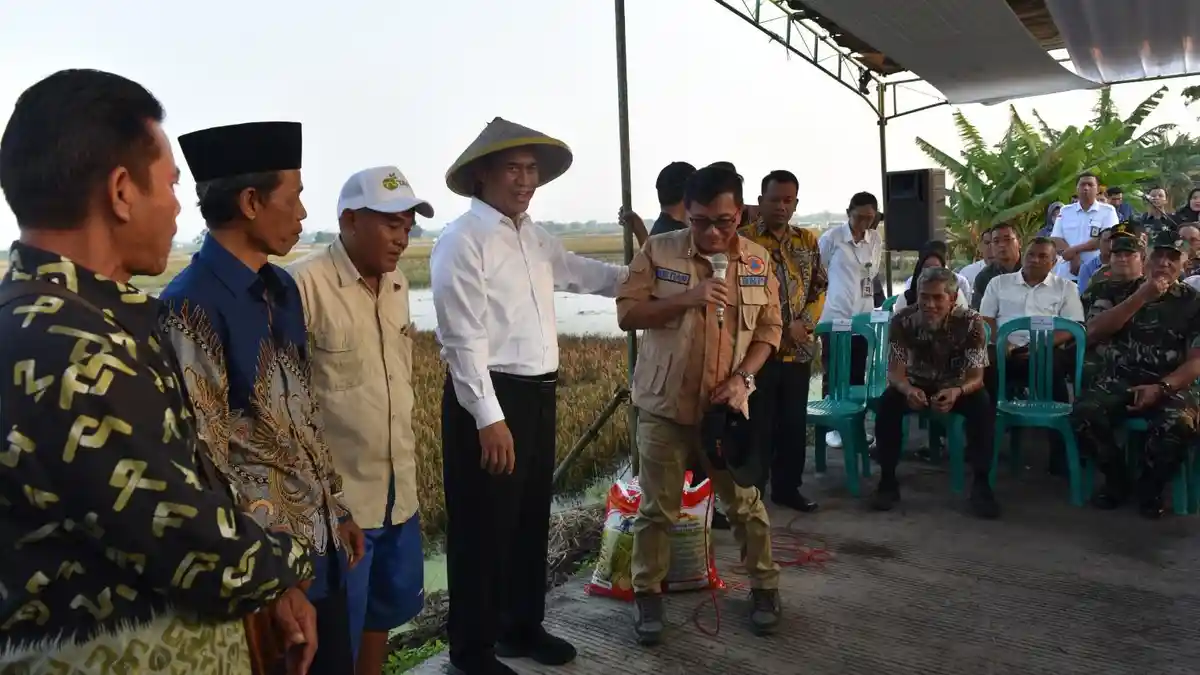 Mentan Minta Bulog Serap Gabah Petani Terdampak Banjir di Jateng