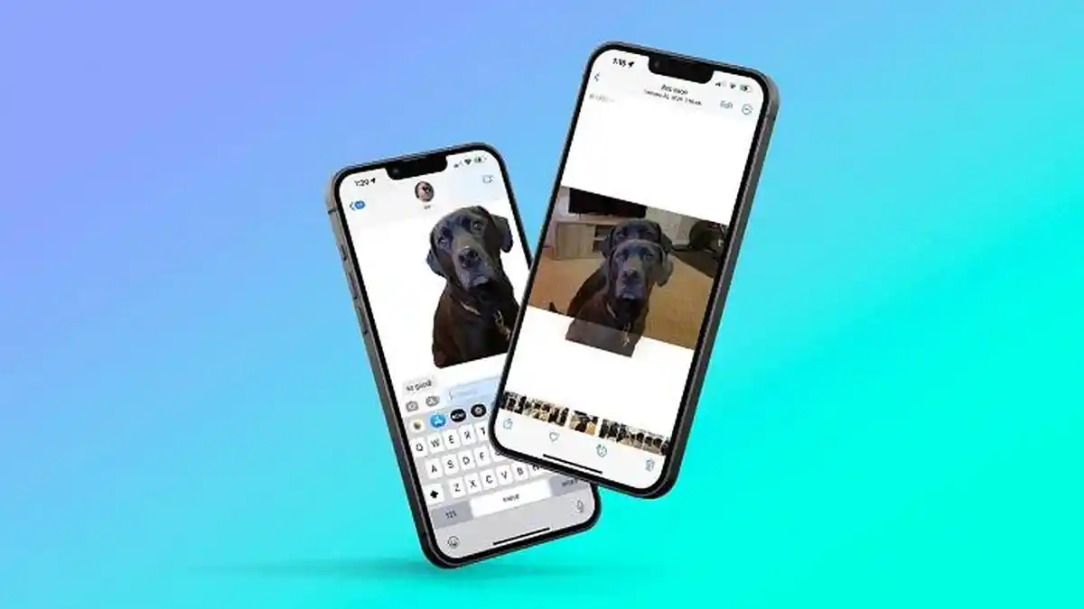 Cara Hapus Background Foto di iOS 16, Ini Fitur Foto Lainnya