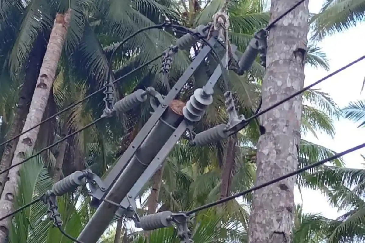 Warga Desa Cio Maloleo Morotai Keluhkan Tiang Listrik Roboh, Kepala ULP Daruba: Kami Perbaiki