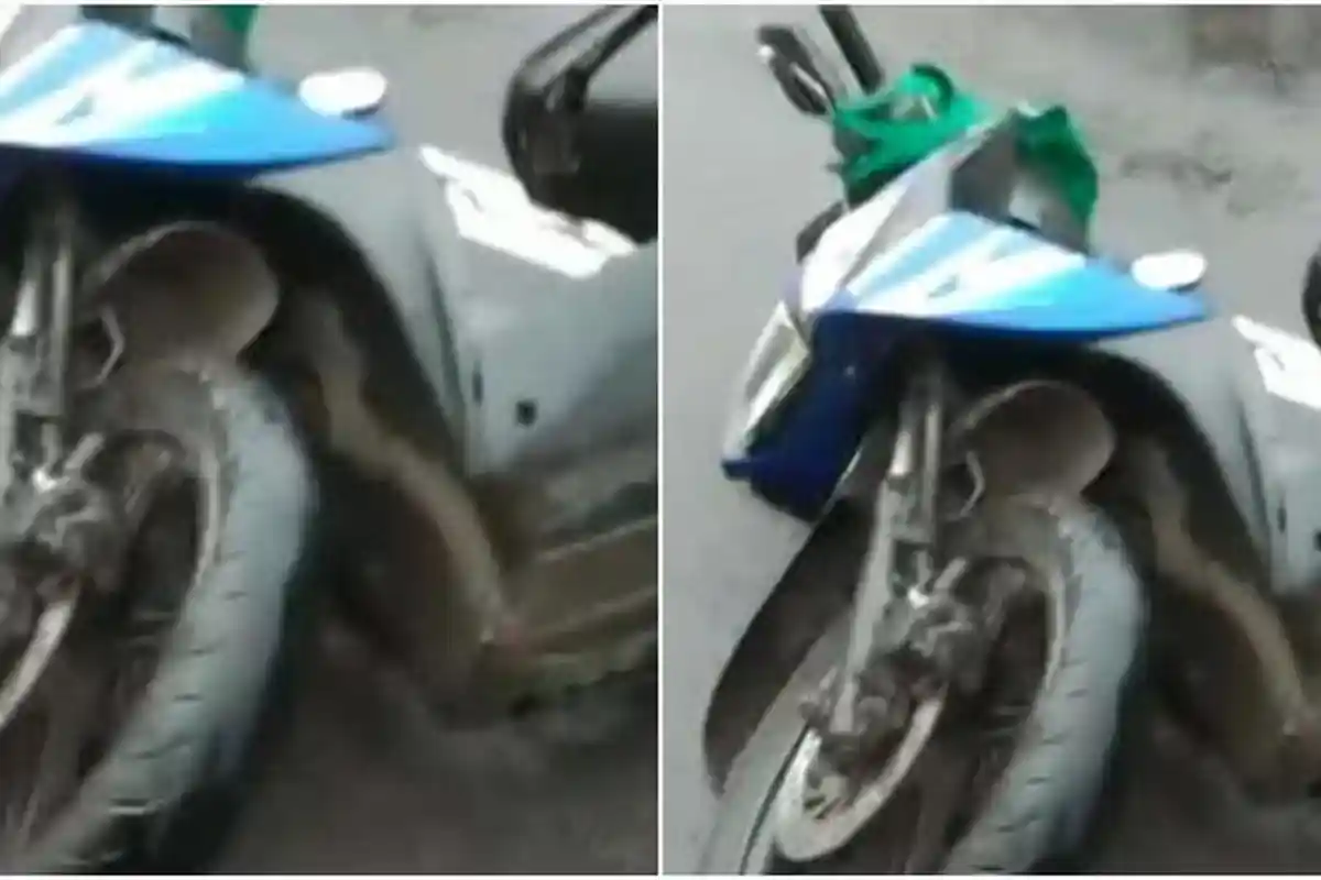 Kecelakaan Maut, Seorang Pemotor Tewas, Tabrakan Beruntun 2 Motor dan 1 Truk