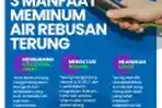 Infografis 3 Manfaat Meminum Air Rebusan Terung