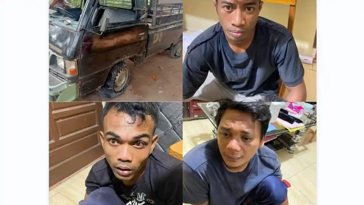 Tampang 3 Maling Sapi di Aek Tarum, Berikut Kronologinya Kejadiannya