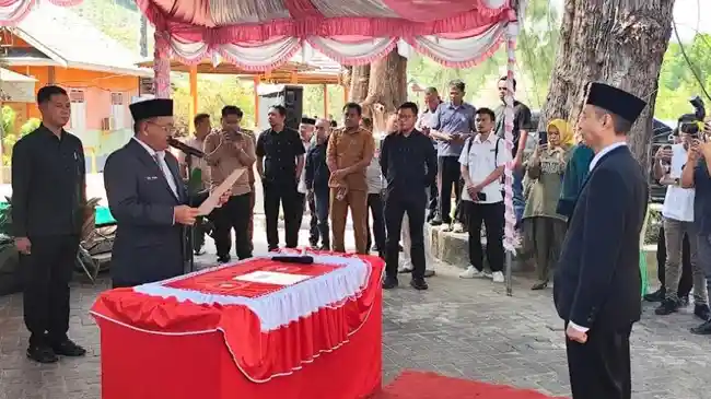 Tribun