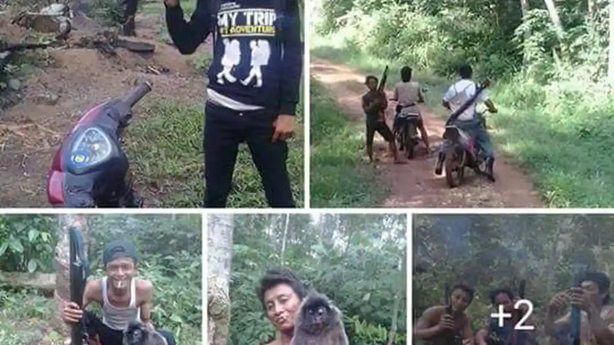 Soal Postingan Satwa Liar, Polda Jambi Tunggu Instruksi Mabes