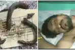ular-pria-india-tak-terima-digigit-ular-balas-dendam-ampai-mati.jpg
