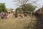 30 Prajurit TNI di Afrika Bantu Pembersihan Sekolah
