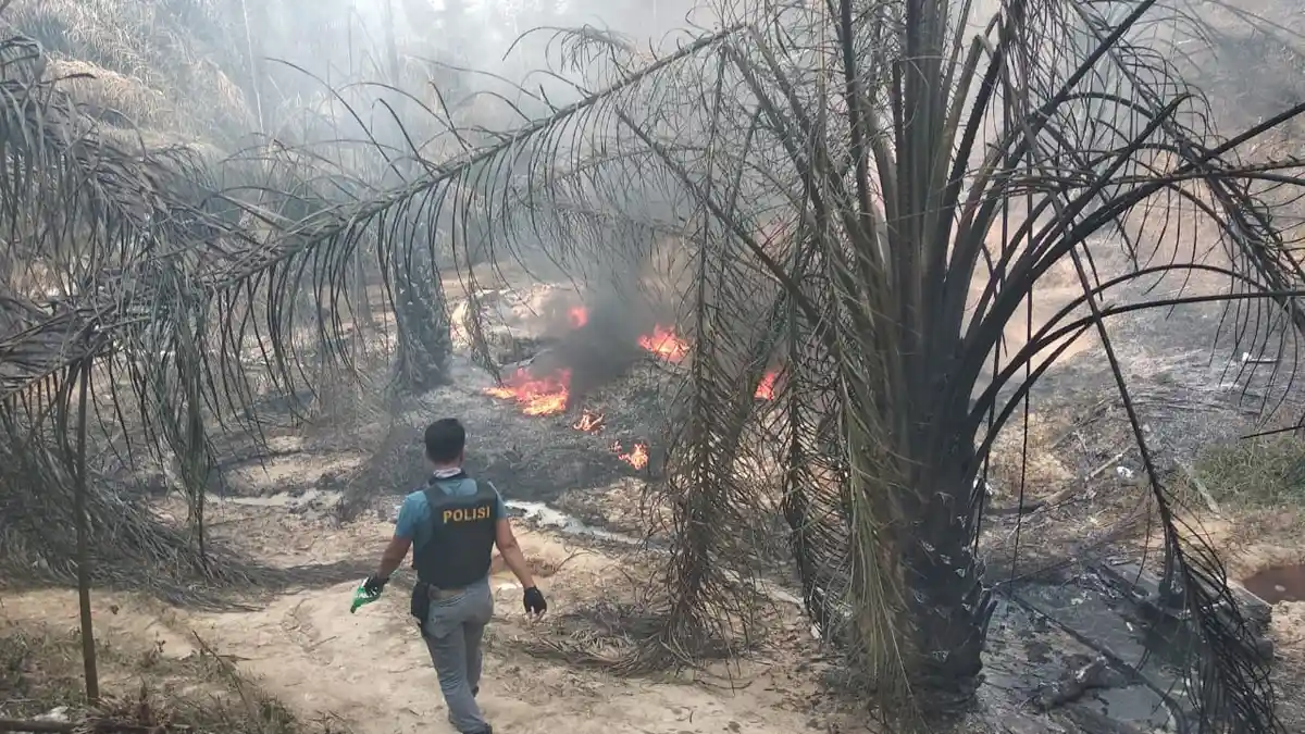 Terungkap, Ini Penyebab Terbakarnya Sumur Minyak Ilegal di Desa Pompa Air yang Tewaskan Herdam