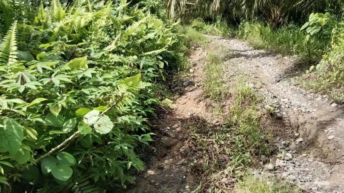 Akses Jalan 10 KM Kalibamba-Poinje Rusak Parah, Warga Minta Pemda Tak Tutup Mata