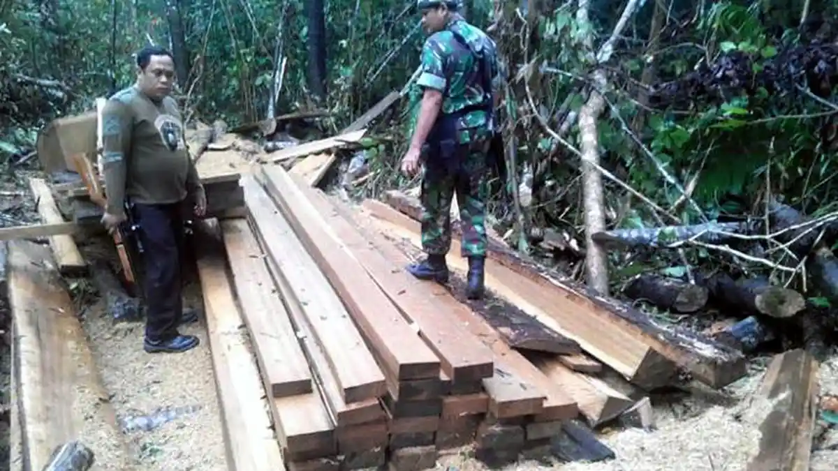 12 Kubik Kayu Ilegal Disita dari Perkebunan Desa Tutuyan