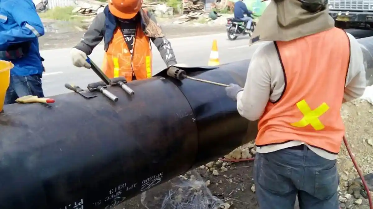 Pengamat: Rini Soemarno Ingin Bentuk Holding Migas dengan Jalan Pintas