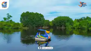 bebek-bebekan-di-Danau-Mangrove-Bagus1.jpg