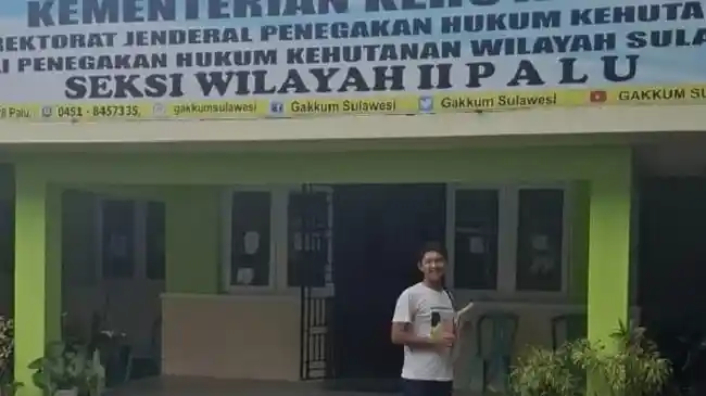 Tribun