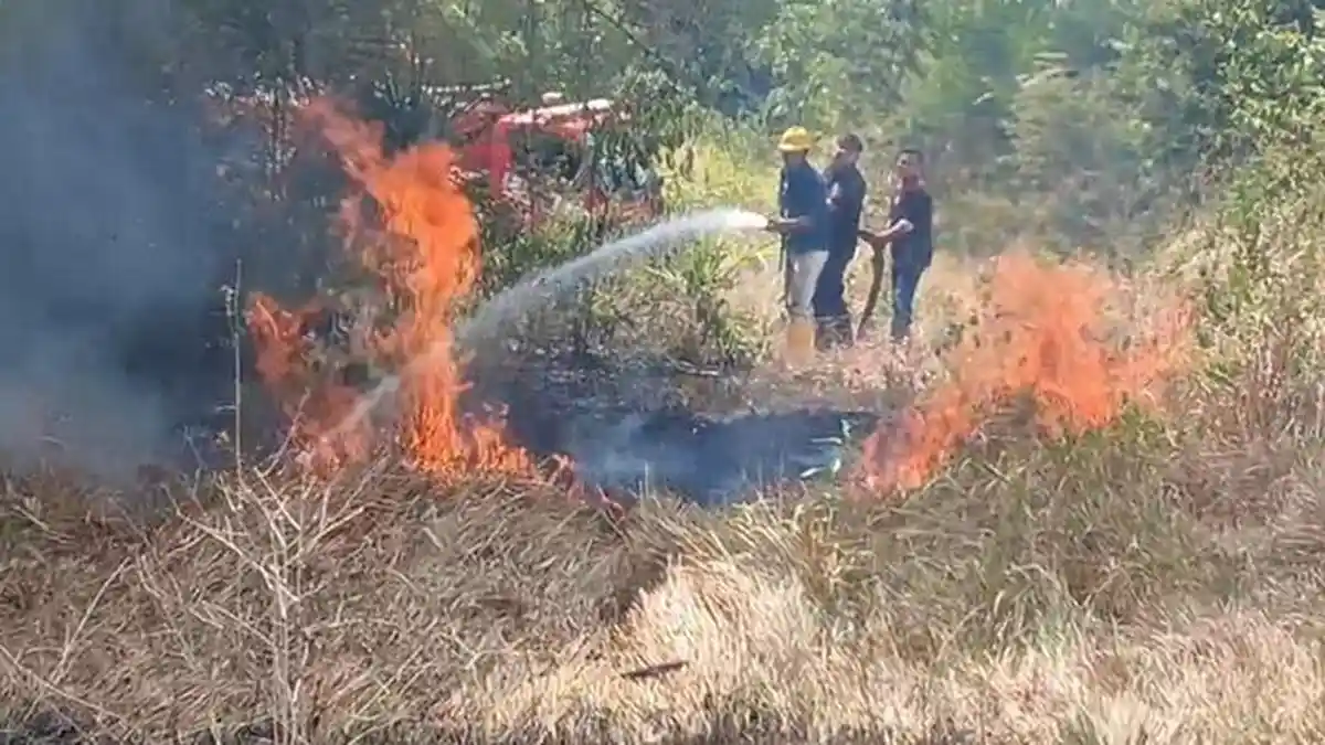 Kebakaran Semak Belukar Kembali Terjadi di Bireuen, Petugas Damkar Kalang Kabut