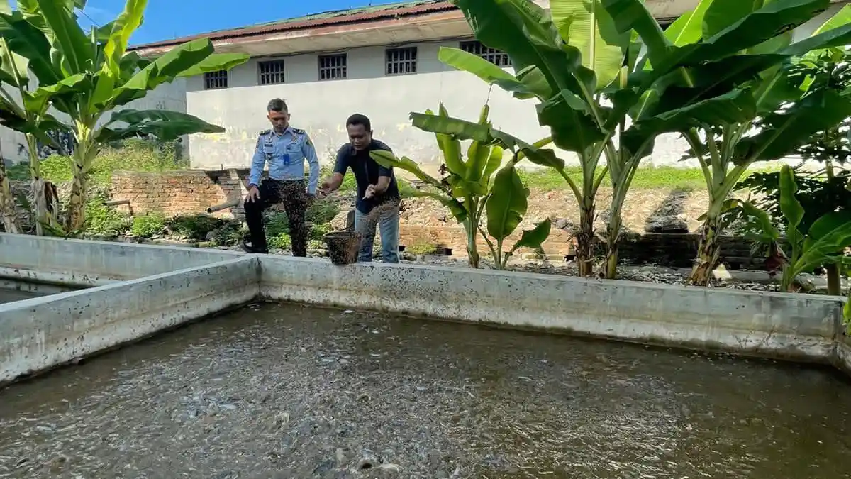 Tingkatkan Penerimaan Negara Bukan Pajak Lapas Rantauprapat Budidaya Ikan Lele