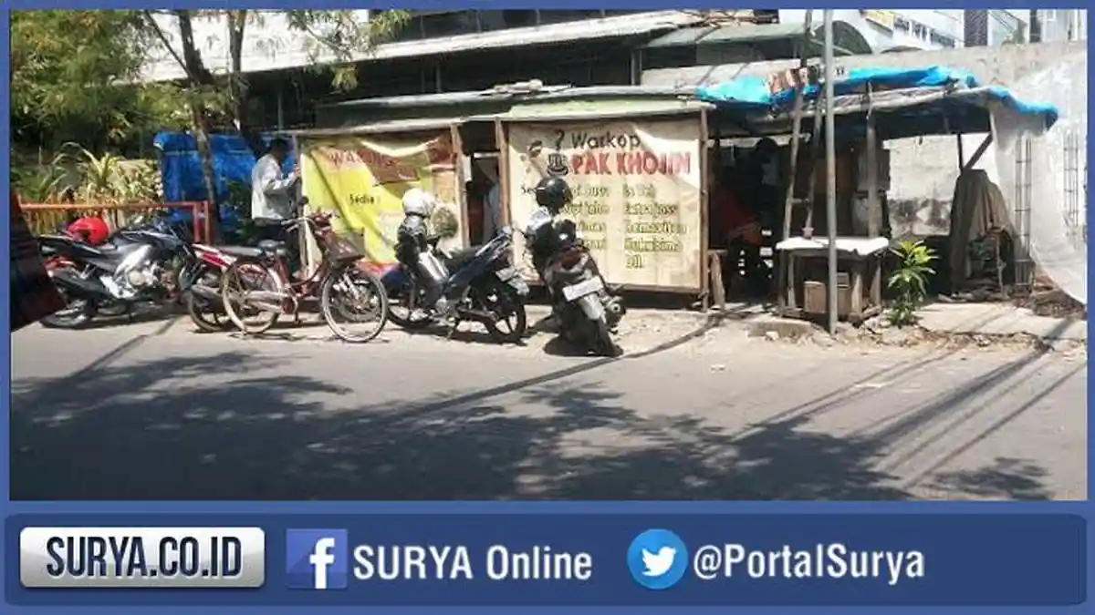 Dikira Kucing Sedang Main Ternyata Kresek Berisi Bayi