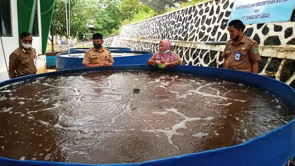 Dinas Perikanan Tanbu Ingatkan Pembudidaya Bioflok Jangan Tergiur Investasi 