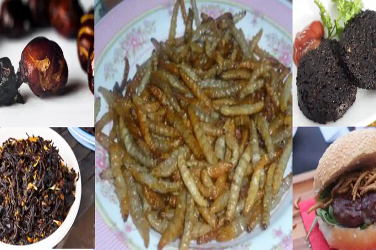 6 Camilan Aneh di Dunia, dari Semut Panggang hingga Burger Berisi Puluhan Cacing