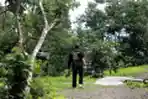 Penangkaran Lebah Madu Takoma di Simalungun