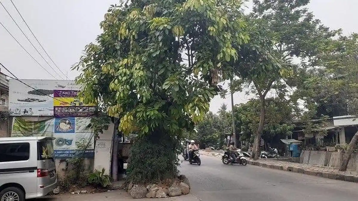 Viral Rumah di Tengah Jalanan Kota Tangerang, Sering Ditabrak Pengendara hingga Dinding Jebol
