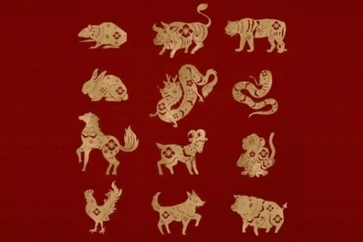 Ramalan Shio Besok 14 Mei 2022: Ubah Pandangan, Kembangkan Kualitas Terbaik