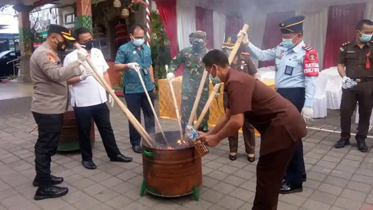 Kejari Gianyar Musnahkan Ribuan Barang Bukti Narkotika