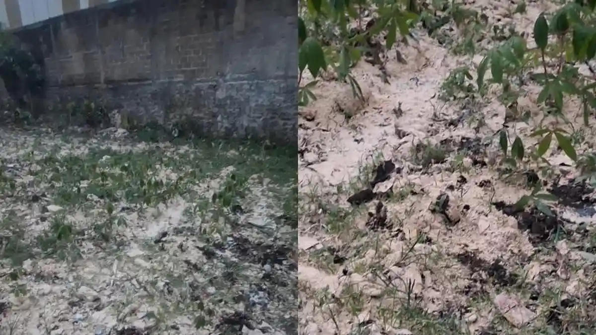Kondisi Terkini Warga yang Viral Terdampak Abu Pabrik di Kemang Bogor, 2 Warga Dirontgen