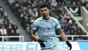 Pemain-Bournemouth-Dominic-Solanke-yiyh.jpg