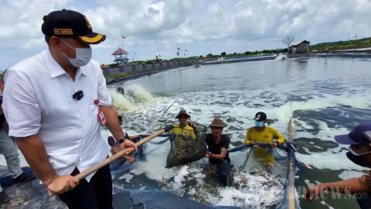 Gerbang Mapan Bikin Nelayan Ketapang Punya Rumah yang Lebih Layak
