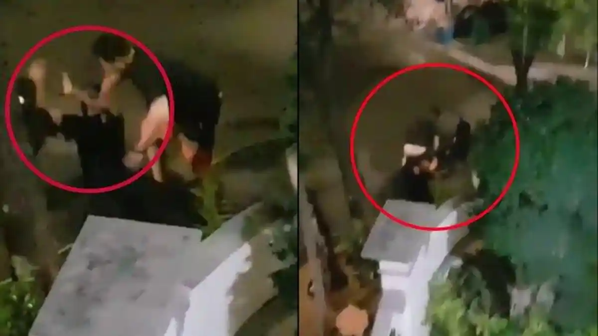 Tegur Pemilik Anjing karena Tak Pakai Rantai, Satpam Komplek Diterjang Pitbull