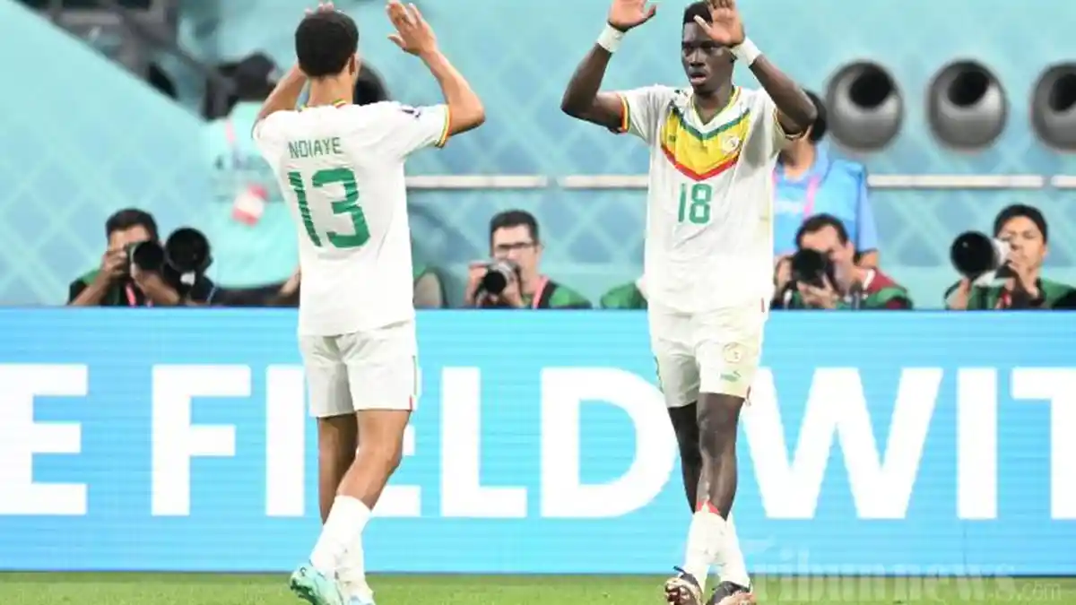 Prediksi Skor Senegal vs Gambia, Head to Head dan Link Live Streaming di Piala Afrika
