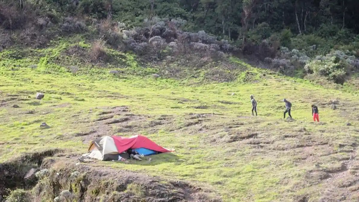Foto Dua Pria Tanpa Busana di Gunung Gede Pangrango Beredar, Begini Posisinya