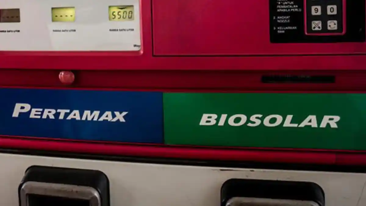 Plus-Minus Konsumsi Biosolar