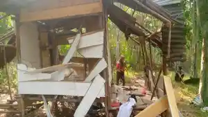 Lagi-Gajah-Liar-Rusak-Pondok-Warga-di-Musi-Rawas-Sebelumnya-Ibu-Hamil-Tewas-Terinjak.jpg