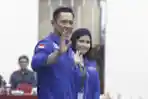 Partai Demokrat Daftarkan Bacaleg Pemilu 2024