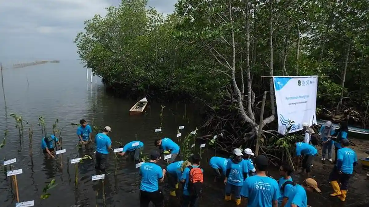 Peringati Hari Mangrove Sedunia, PT Vale Tanam 2.000 Mangrove dan Lakukan Restorasi Terumbu Karang