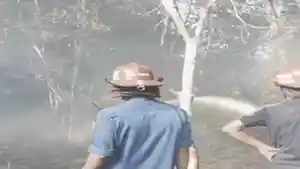KEBAKARAN-LAHAN-GAMBUT-DI-SOLOK-Tiga-kebakaran-lahan.jpg