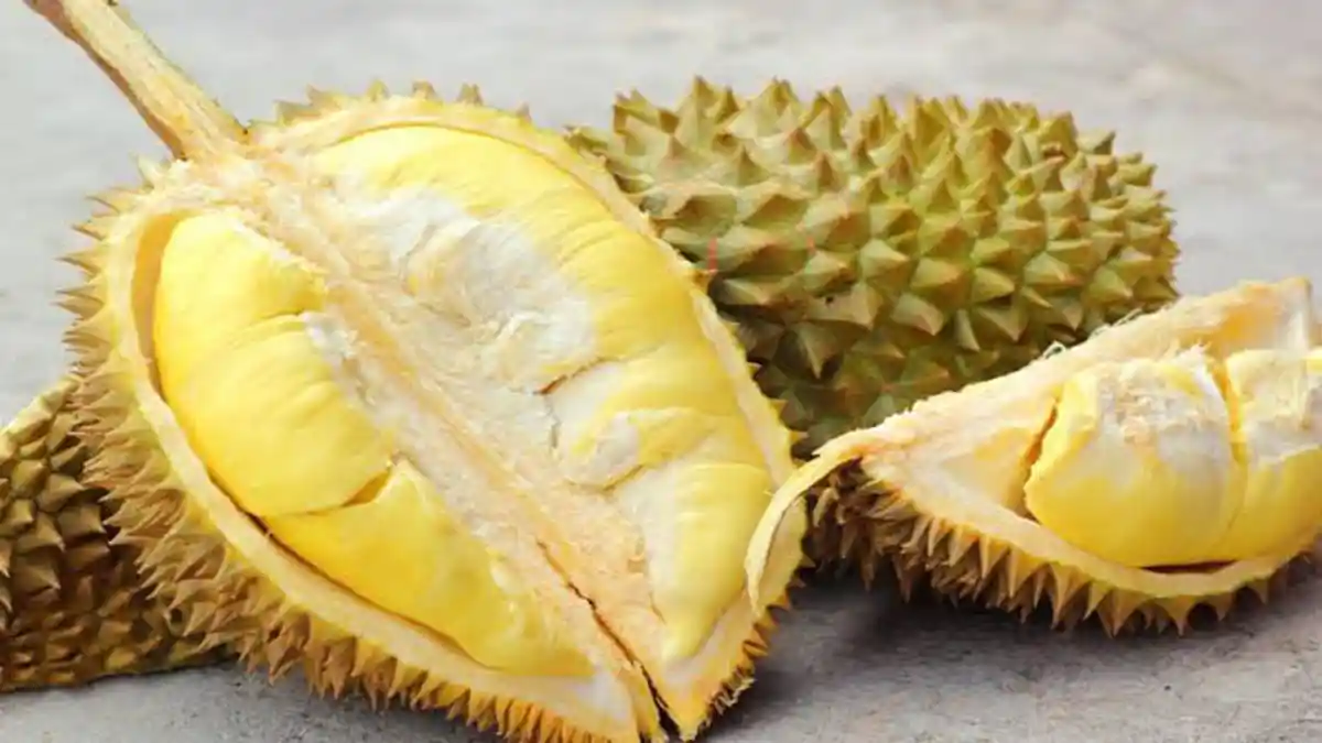 Manfaat Durian untuk Kesehatan, Ternyata Bisa Bikin Tambah Awet Muda