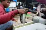 Sebelas Hari Pascagempa, Pasar Baru Mamuju Masih Sepi Pembeli