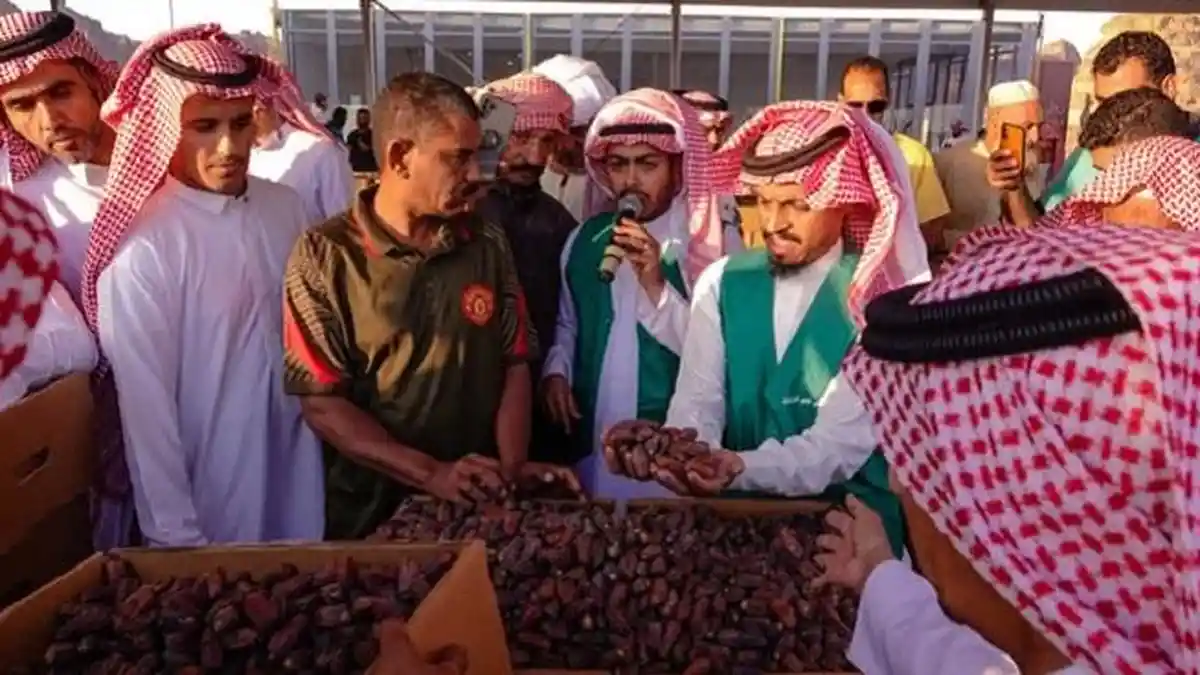 Festival Kurma AlUla Berakhir, Harga Lelang Tertinggi Rp 210 Ribu Per Kilogram, Total Rp 12,4 Miliar