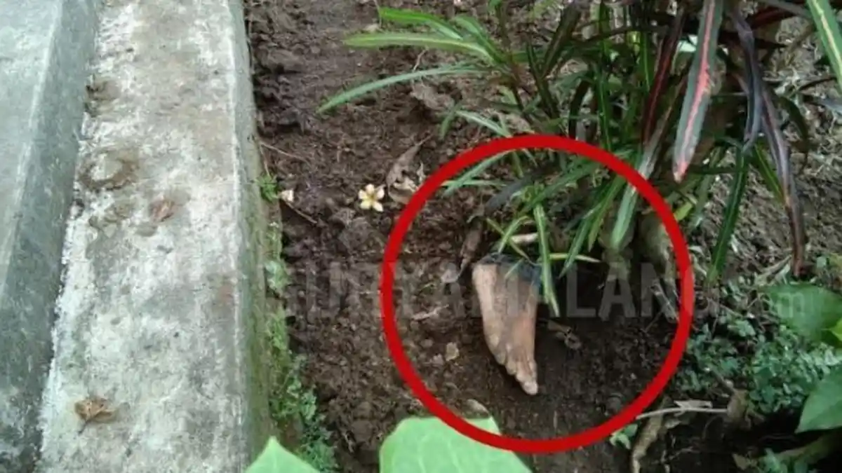 Misteri Jasad Terkubur yang Kakinya Menyembul Ini Akhirnya Terungkap