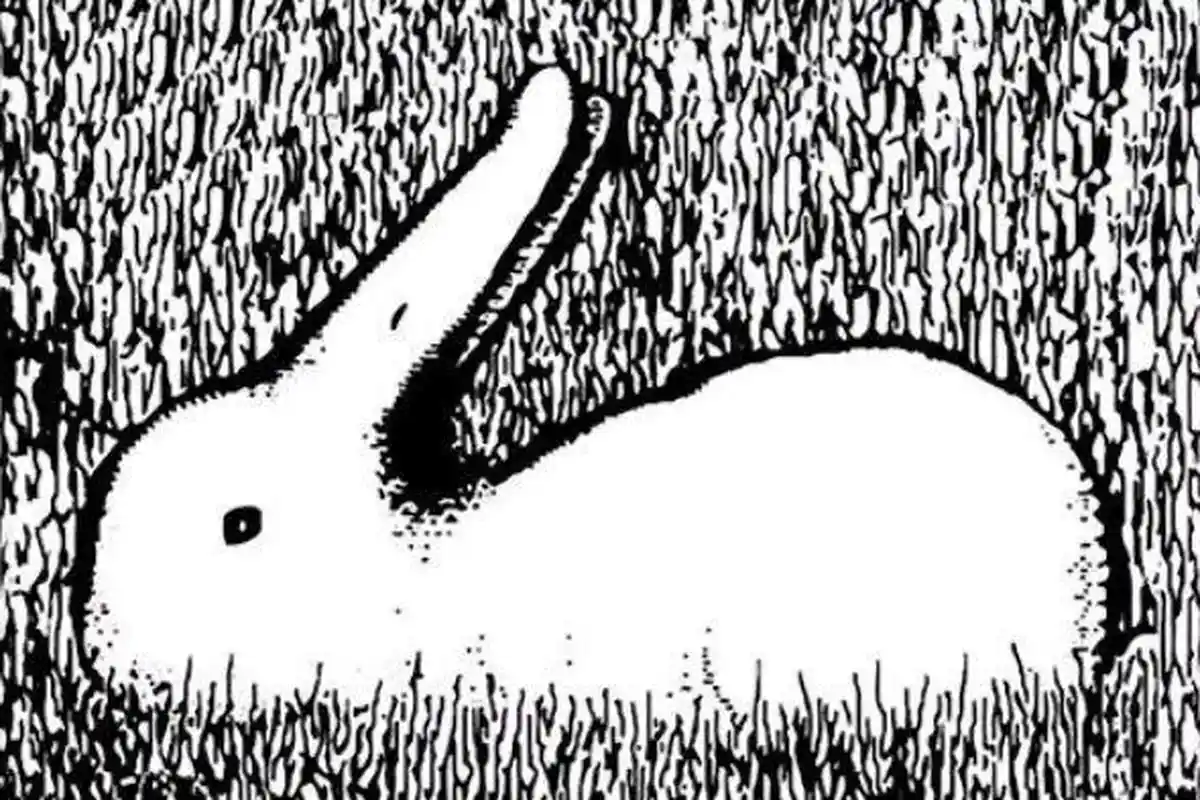 Tes Kepribadian - Apa yang Kamu Lihat Pertama Kali Ungkap Karakter Aslimu, Ayo Dicoba Sekarang