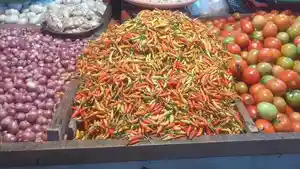 JUAL-BELI-Aktivitas-jual-beli-di-Pasar-Bersehati-Kota-ManadoLOIU7GG.jpg